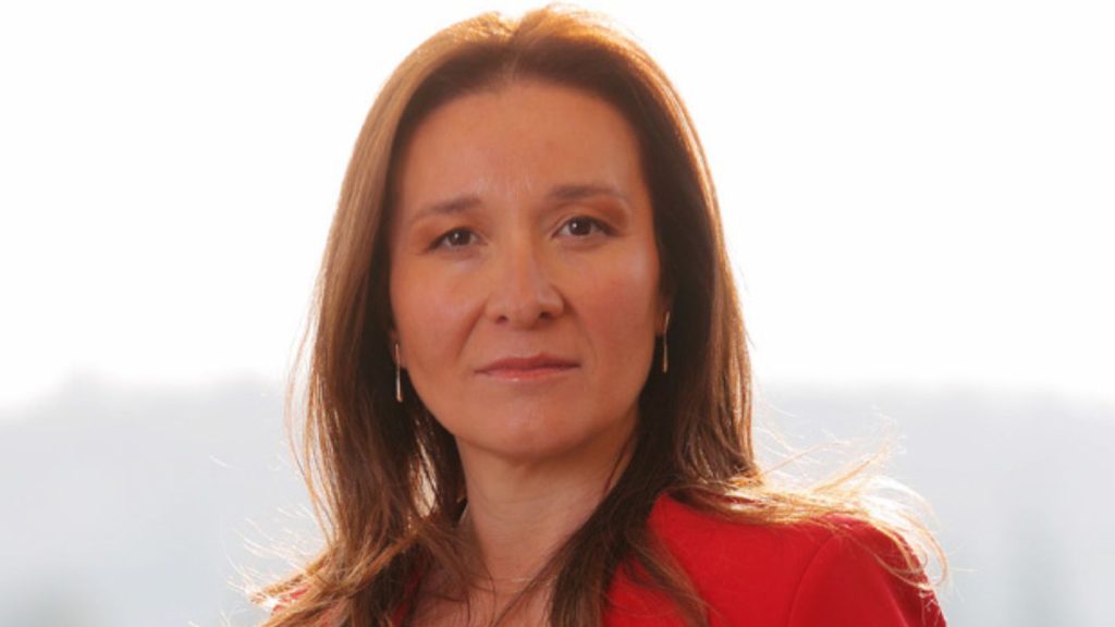Crisis persistente en el sistema de protección a la niñez en Chile: jueza Mónica Jeldres advierte agravamiento de la situación